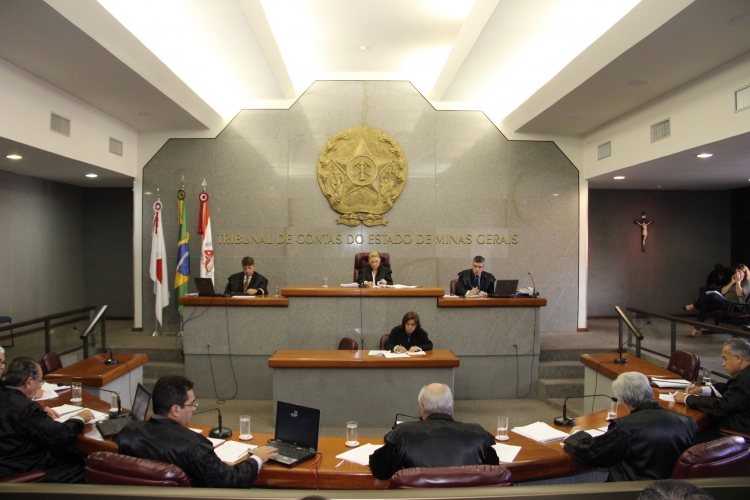 BRASAO DO ESTADO DE BRONZE