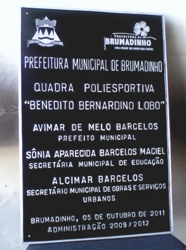 Placa de aluminio 2